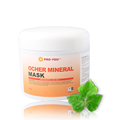 Ŀ ̳׶ ũ (OCHER MINERAL MASK)